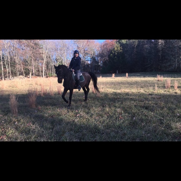 Meet your Posher, Morgan - Picture 6 of 8